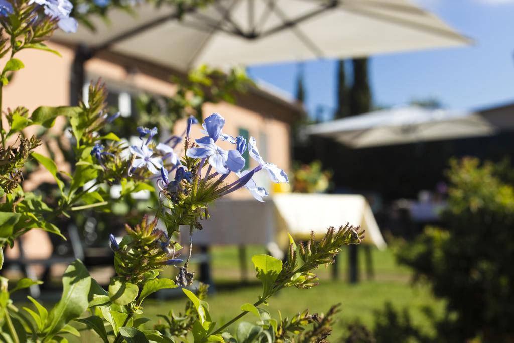 Agriturismo Ferruggini Bolgheri Zewnętrze zdjęcie