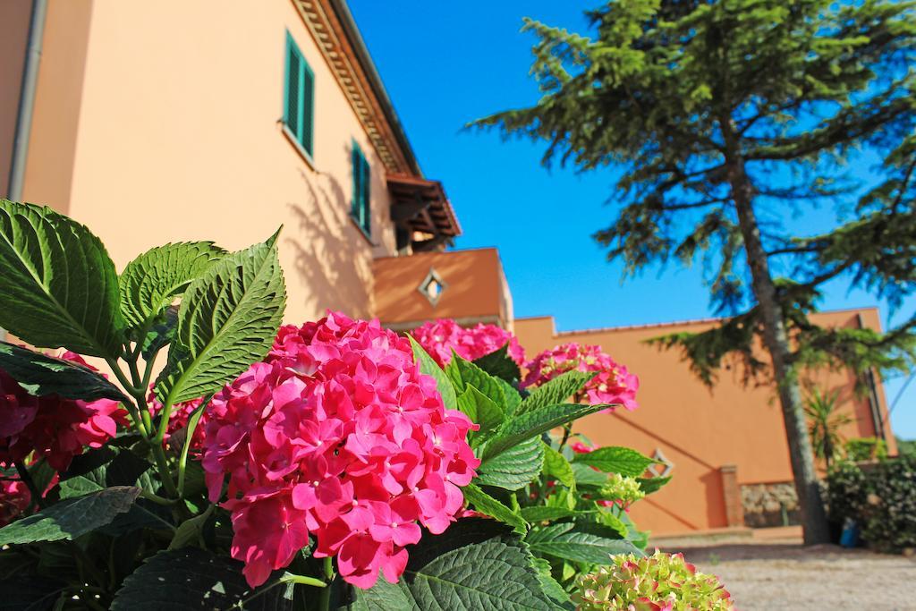 Agriturismo Ferruggini Bolgheri Zewnętrze zdjęcie